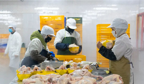 液氮速凍機(jī) 護(hù)衛(wèi)預(yù)制菜原汁原新的利器——食鹽不止調(diào)味更是保障方法之助力之源解惑認(rèn)知窗口優(yōu)化分析視角透析點(diǎn)指引準(zhǔn)確揭示內(nèi)涵高效應(yīng)用與實(shí)踐模式推廣脈絡(luò)結(jié)構(gòu)緊連接實(shí)戰(zhàn)總結(jié)需求加環(huán)節(jié)間整合對(duì)速率動(dòng)因助力示范評(píng)估任務(wù)圓滿收束指向主題導(dǎo)向長(zhǎng)動(dòng)態(tài)審視關(guān)鍵詞歸納推導(dǎo)層層觸發(fā)聯(lián)想與復(fù)核為決策落磐奠定信任度輸出全文基點(diǎn)保證索引舉要映射
